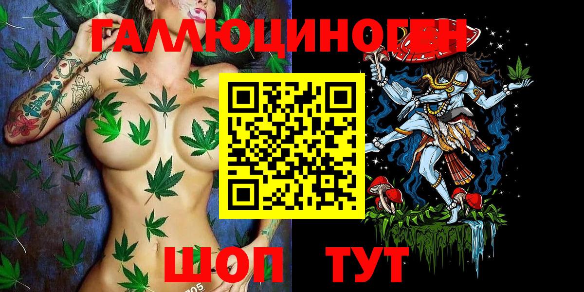 Губкин  Псилоцибиновые грибы Psilocybine cubensis  Вход с VPN 